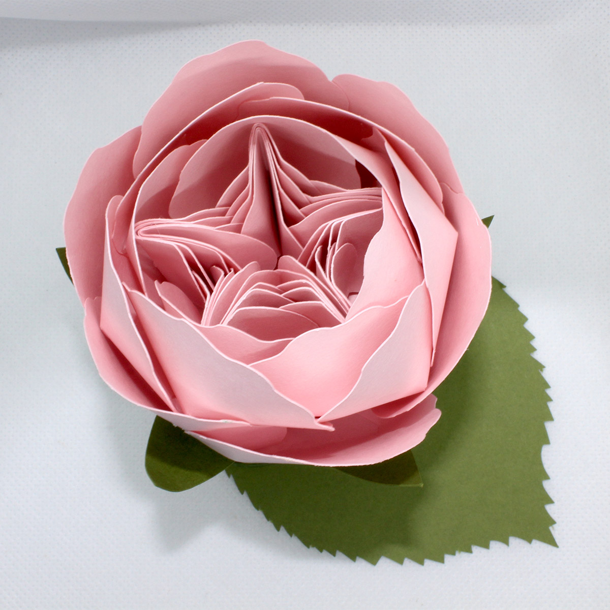 Sugar Flower Juliet Rose (Juliet David Austin Rose) - Cake Topper